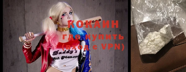 шишки Переславль-Залесский