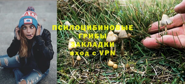 шишки Переславль-Залесский