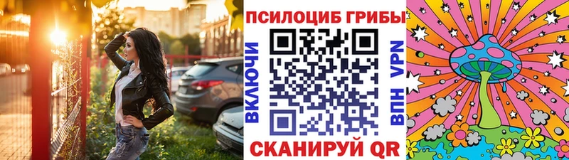 Псилоцибиновые грибы Magic Shrooms где продают наркотики Новоалександровск