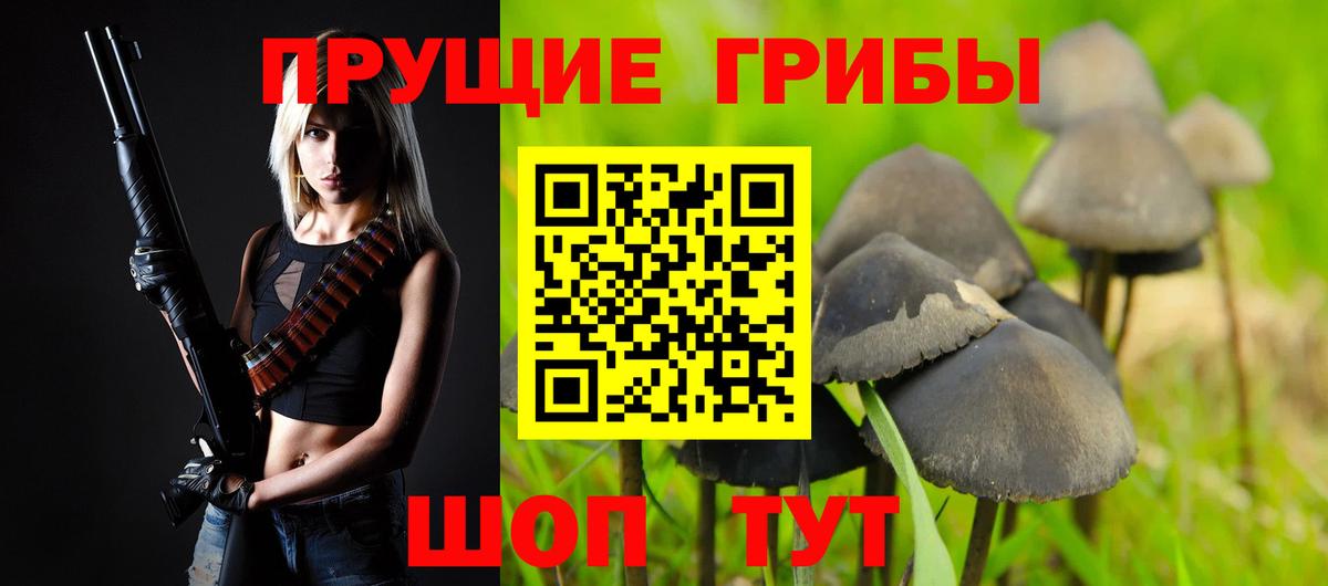 Псилоцибиновые грибы мухоморы Новоалександровск