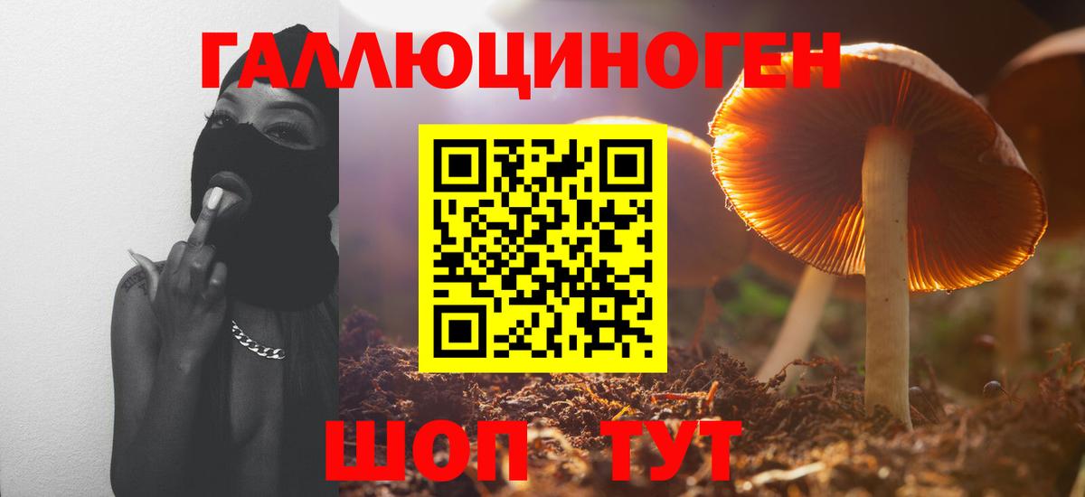 Псилоцибиновые грибы мицелий  Вход с VPN  Новоалександровск  Псилоцибиновые грибы мухоморы 