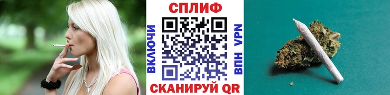 Шишки марихуана план Новоалександровск